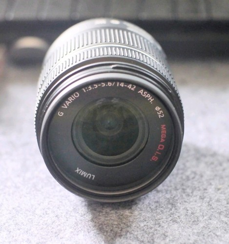 Panasonic lumix vario - g, x