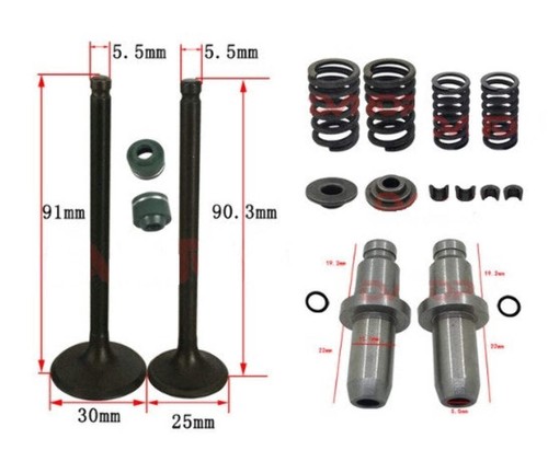 Valve pipe spring kit - valve,