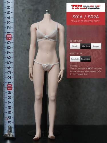 Stock tbleague phicen - 1/6,