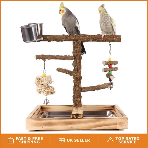 Level parrot play gym with - 2-level,