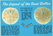 UNITED STATES POSTCARD Sand