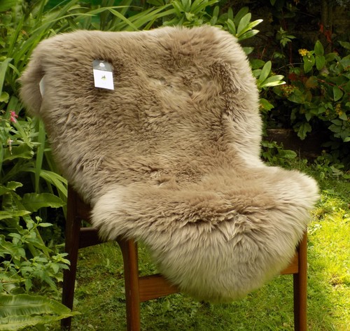 Large light taupe - light,