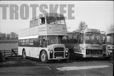 35mm Black and White Negative