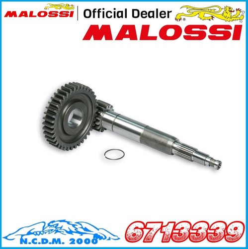 Primary gears malossi - z, 15/38