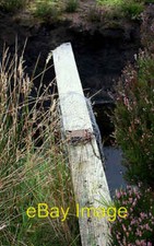 Photo 6x4 A fen trap set on a