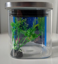 Miniature Aquarium tiny glass