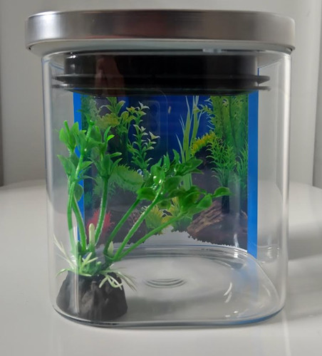 Miniature aquarium tiny glass - aquarium,