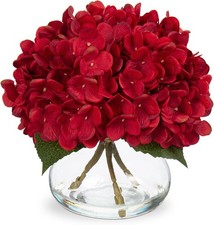 Oairse Red Hydrangea