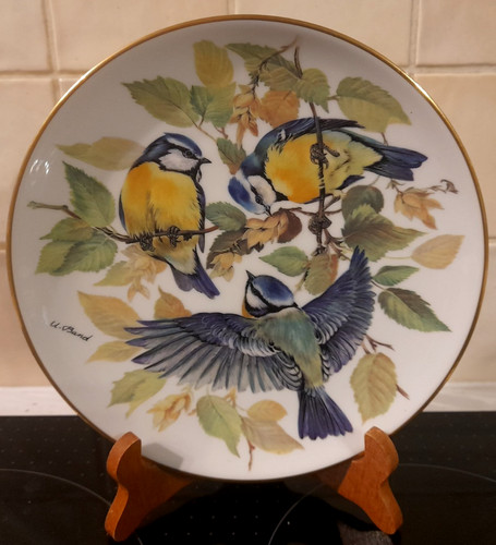 Vintage world wildlife - vintage,