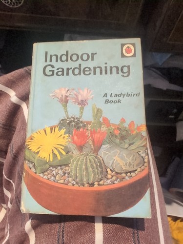 Vintage ladybird book indoor - book,