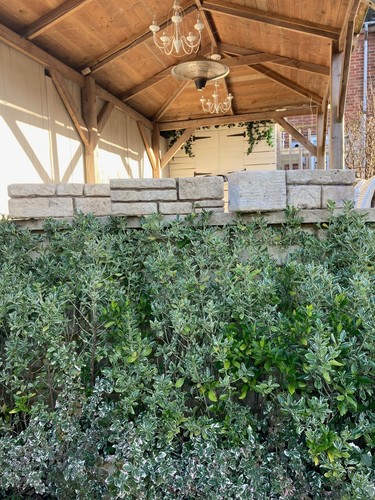 Bradstone cotswold walling - cotswold,