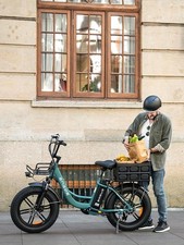 ENGWE L20 Boost Electric Bike