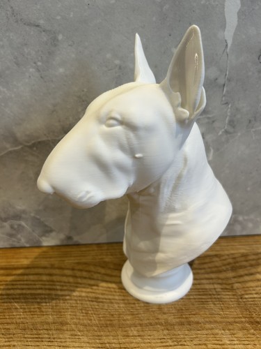 English bull terrier bust - bull,