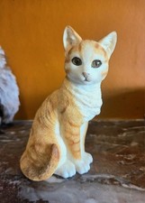 Leonardo ginger tabby cat