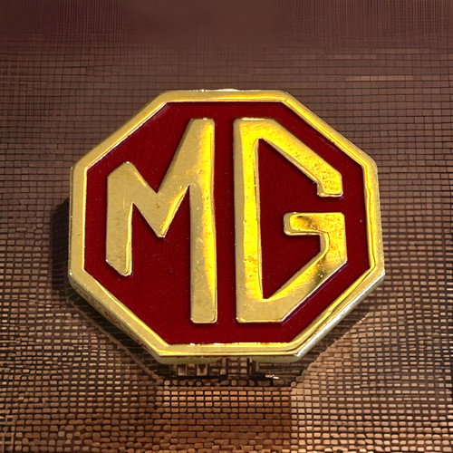 Lapel pin mga - mg,