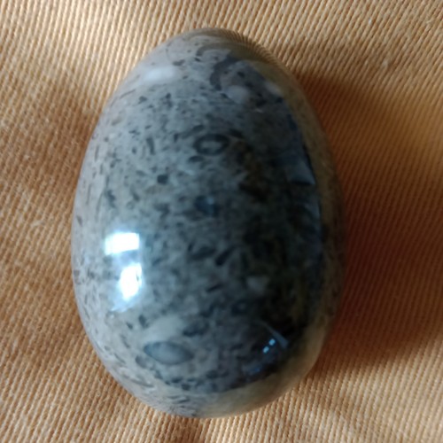 Serpentine green egg from the - serpentine,