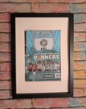 Luton town efl - town, trophy