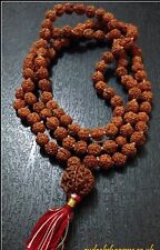 FIVE 5 MUKHI FACE GURU