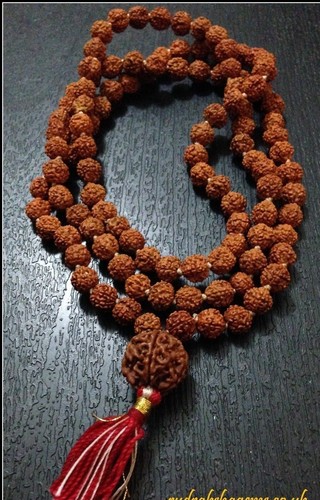 Five mukhi face - mukhi,