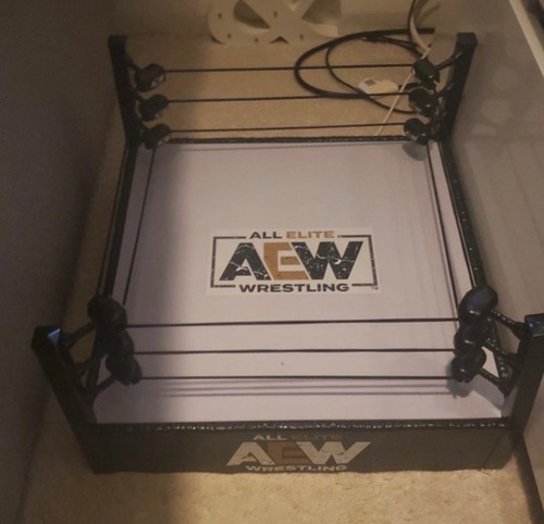 Aew wrestling ring action - wrestling,