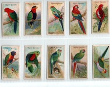 PLAYERS: Nature Series 1909