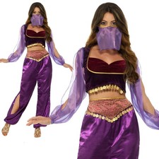 Arabian Princess Costume Genie