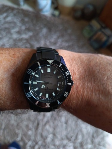 Citizen fujitsubo promaster - fujitsubo,