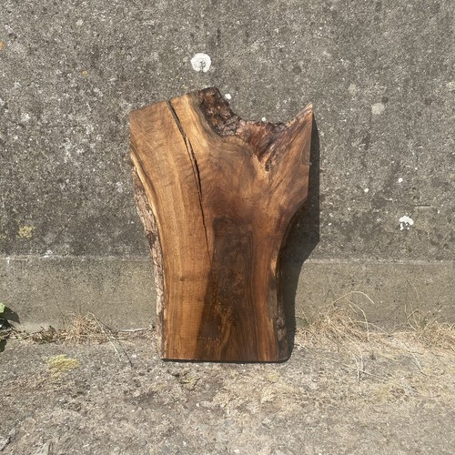 English walnut slab live edge - english,