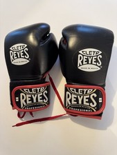 Cleto Reyes Adult Boxing