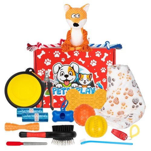 Pets play puppy - pets, starter