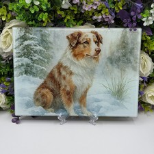 Australian Shepherd 8inch x