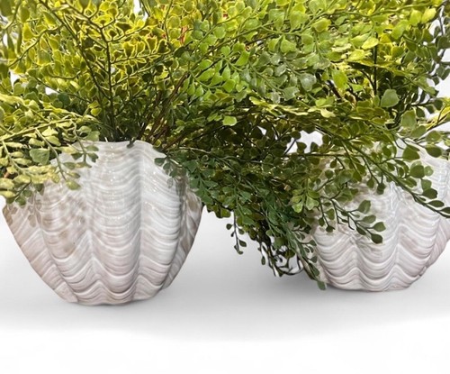 Shell shaped ceramic planters - shell,