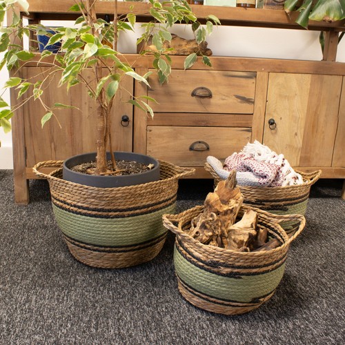 Cotton seagrass large - seagrass,