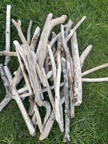 Driftwood pieces art - 30,