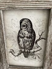 Owl Picture In Frame