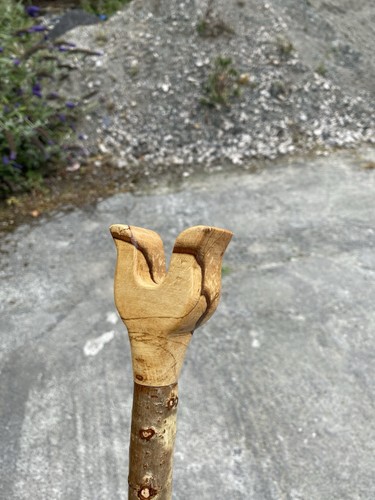 Spalted beech hazel - spalted, with