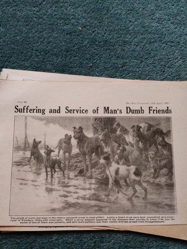 Sk210 ephemera 1917 - ephemera, ww1