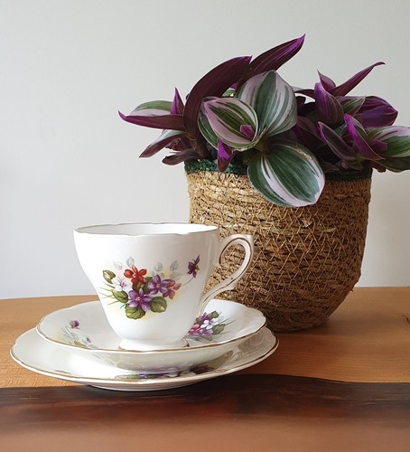 Vintage delphine fine bone - delphine,