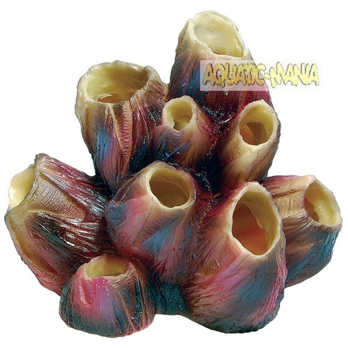 Aqua spectra coral barnacle - spectra,