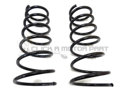 Rear suspension coil springs - rear,