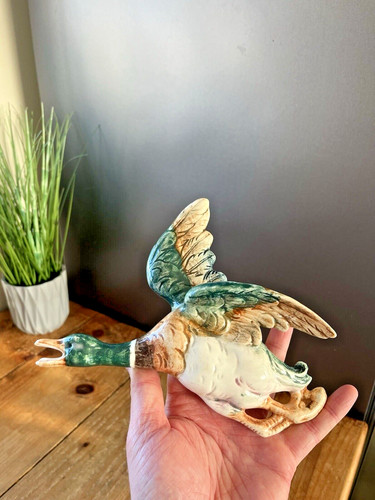 Flying duck mallard wall - mallard,