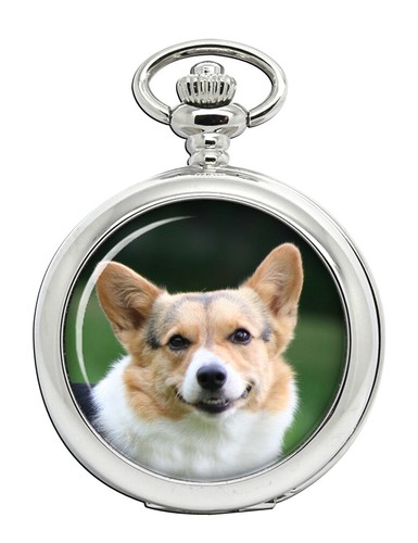 Cardigan welsh corgi pocket - cardigan,