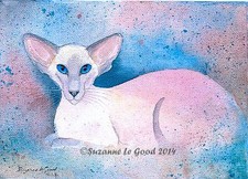  Siamese Cat art print limited