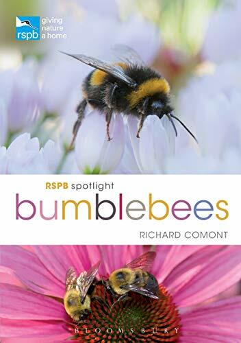 Rspb spotlight bumblebees - rspb, by