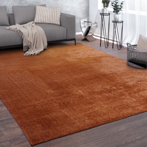 Large rug short pile - large,