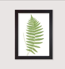 Framed Botanical Art Print