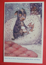 G E STUDDY Comic DOG BANDAGE