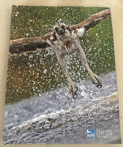 Birds magazine spring 2013 - magazine,