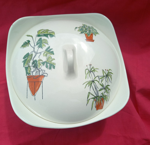 Midwinter plant life covered - midwinter,