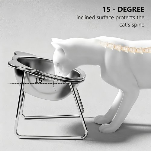 Raised cat bowl tilt 304 - raised,